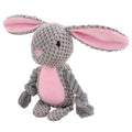 Bella the Cozy Bunny