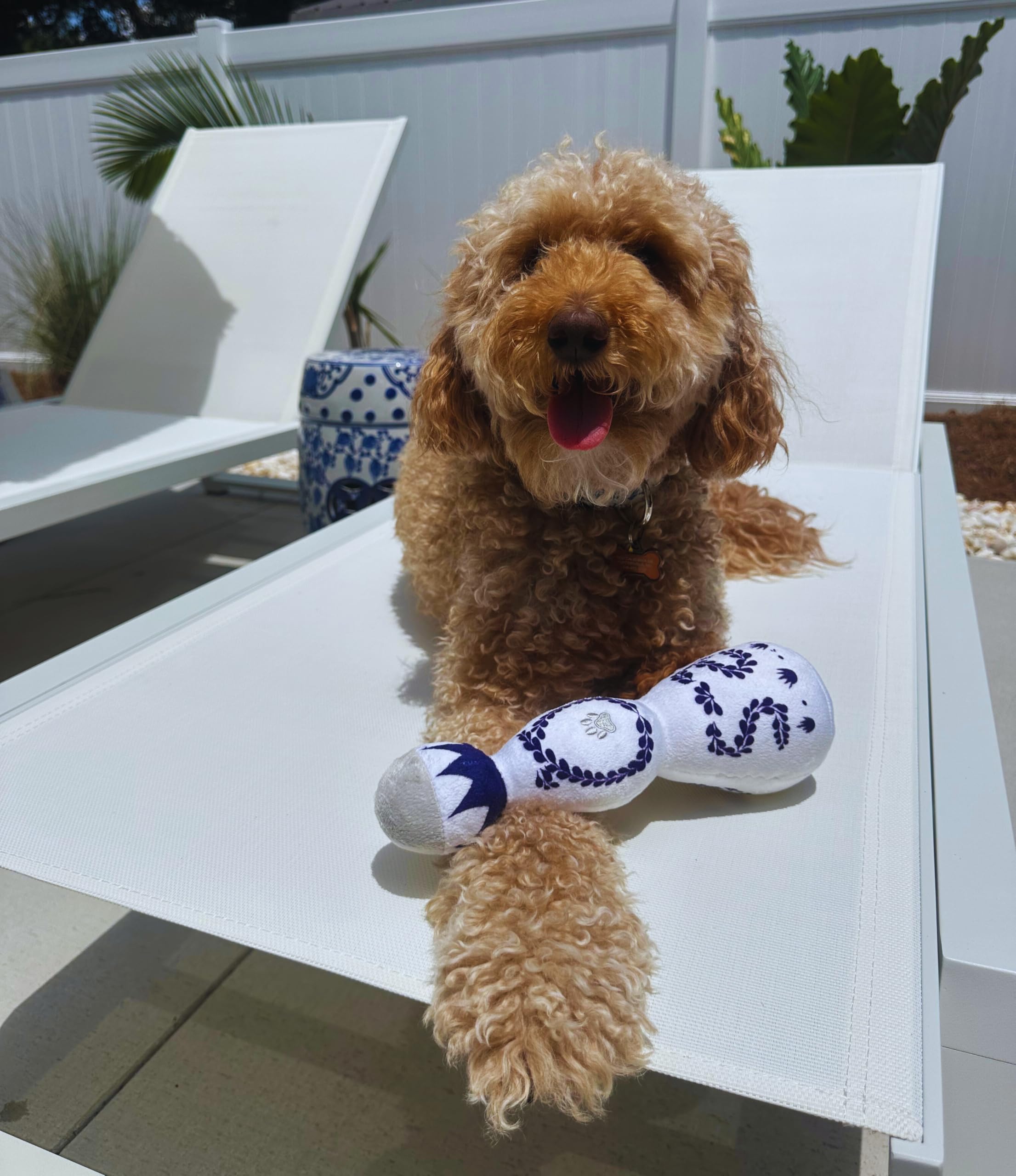 Tequila Toy With Squeaker