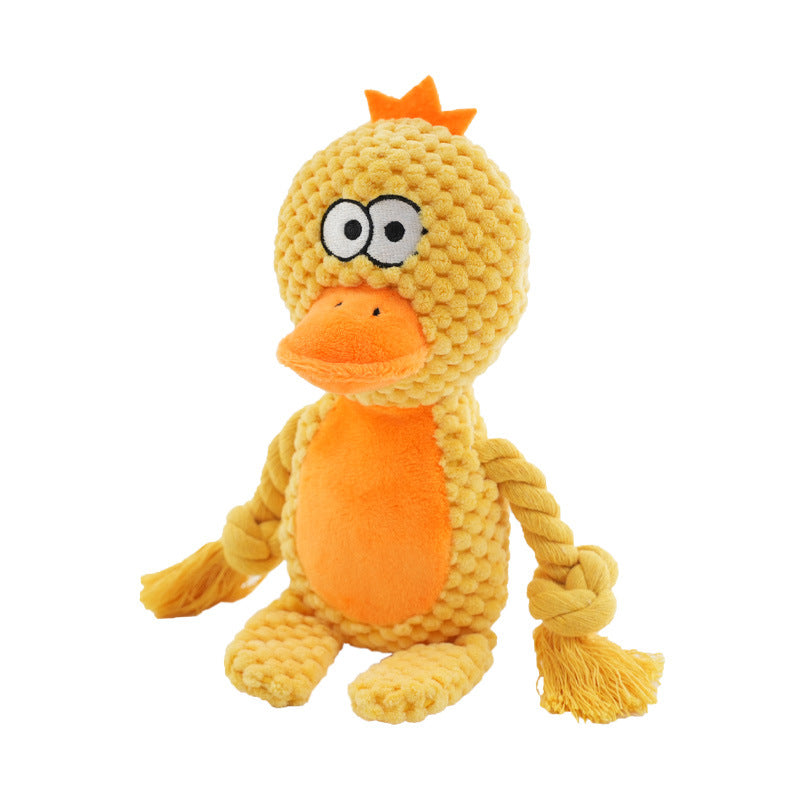 Daisy the Brave Duck